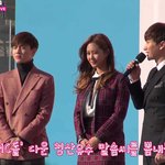 [sm] 한류 거리 행사에서 만난 sm식구들