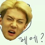 [EXO] 내가 아는애가 샤11월인데