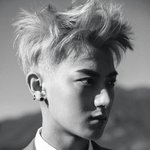 [EXO] 나 덕질하다가 미친줄