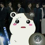 [EXO] 음방 음반<b>점수</b> 지는이유