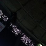 [EXO] 갑자기 생각난건데 막콘때 <b>사랑</b>해 <b>사랑</b>해!할때