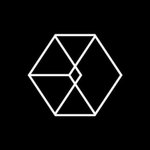 [EXO] ㄹㅇ 팬질은 마이웨이야