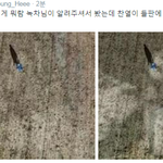 [EXO] 찬열이 <b>들판</b> 엑소 중독 사진