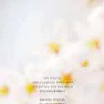 [EXO] 앙녕 명언<b>배사</b> 쓴이 또왔는데 할말있어