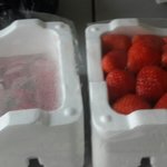[EXO] 시발 딸기 <b>한박스</b> 더사왔어ㅠㅠㅠ