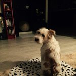 저와 <b>로로</b>에게 큰힘주셔서 감사해요!^^