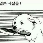 [EXO] <b>백현</b>여친<b>글</b>올리는애 씹애잔