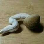 [조언부탁] 고3힘내.