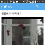 [EXO] 이거 붉은눈아님?