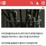 [EXO] 나 이<b>나뭇가지</b> ㅈㄴ열심히 찾았는데