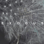 [EXO] <b>민들레</b>씨이쁘다