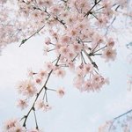 [댓글부탁] 이거 그린라이트야?
