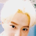 [EXO] 오늘<b>섹션</b>티비4자요약