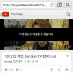 [EXO] 섹1션 엑소컷 그새 막힘