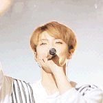 [EXO] 나 차애가 세훈인데