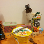 하늘다람쥐와 함께한 편의점 야식 (컵라면이 익을때까지 같이 기다려주는...