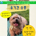 4월 19일/ <b>소풍</b>가고 싶어요! 아이들을 데리고 <b>소풍</b>에 가주세요!...
