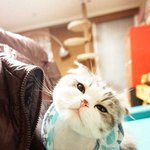 레즈인지 알수있는 방법!