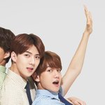 [EXO] 백현 누렁이같다