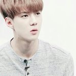 [EXO] 판 <b>소식</b>