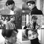 [EXO] 김종<b>형제</b> 붙은사진 4컷