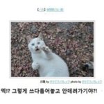 [콜로라도] 열도의 제목학원 <b>최우</b>수작 번외-고양이편-