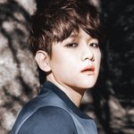 [EXO] 백현 티저 <b>채색</b>해도 못생겼어..