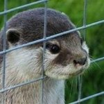 [EXO] 시발ㅋㅋ이거 무슨<b>동물</b>이냐 ㅋㅋㅋㅋㅋㅋㅋ