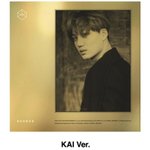 [카이] 카이자켓떴다..+<b>세부</b>구성추가