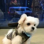 [EXO] 아난 그게싫음