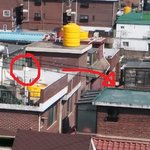 [무서운세상] 옥상에서 <b>동물</b>을 던진 할아버지를 잡았습니다. 꼭 좀...