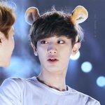 [EXO] 내가 아직학생인데