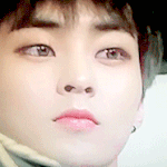 [EXO] 슈밍팬들은 매번생일에 총공 못하고 안하지