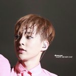 [EXO] <b>생일</b>마다짹짹이에서<b>사진</b>줍는거존잼