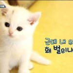 여자들이 좋아하는 o형 흔<b>남</b>입니다.