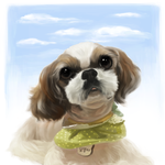 [<b>시</b><b>츄</b>] 무지개다리 건넌 <b>시츄</b>