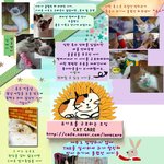 <b>책임질</b> 수 없다면 키우지 말아주세요!