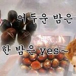 [EXO] 이거 나만 개<b>터짐</b>?ㅋㅋㅋㅋㅋㅋㅋ