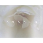 [EXO] <b>비번</b>이제일소름이다