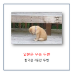 이번에는 꼭 <b>우승</b>하게 해주세요.