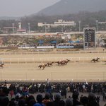 오랜만에 군화랑 데이트!