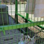 [평강공주] 가족을 버리니...편안하신가요?