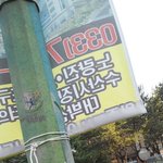 [댓글부탁] <b>현수막</b>에 부딪혔는데