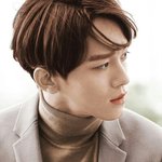 [EXO] 진짜 엑소 팬들 뭐하는 사람들이지