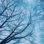 [EXO] 이런분위기에 미안한데 개이쁘지않냐