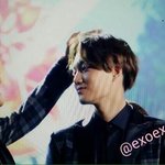 [카이] 인어들 종인이 꿀 받아가