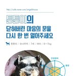 [나주천사의집/슈나우저] 두번의 <b>파양</b>으로 마음의 문을 닫은 튼튼이의...