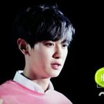 [EXO] ㄹㅇ 오후 1시 <b>그래프</b> 본게 