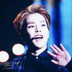 [EXO] 짹짹이 ㅅ1발년들 <b>펄스</b>트럽가지고