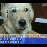 [EXO] 멜론<b>피씨</b>버전으로듣는데